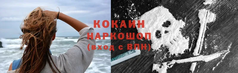 Cocaine FishScale  купить закладку  Курганинск 